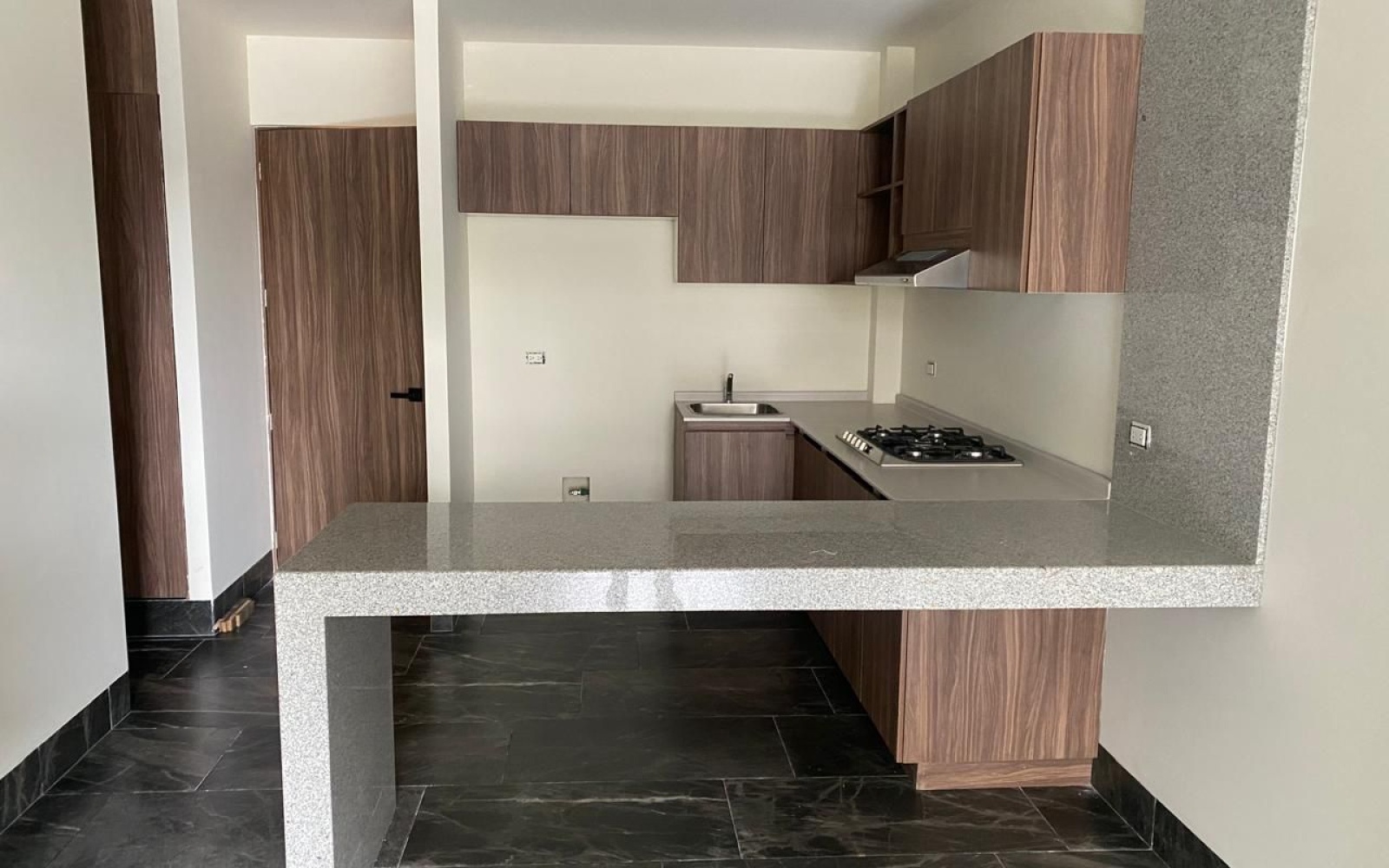 AV GUADALUPE GONZALES PUNTA DEL CIELO, 1 Bedroom Bedrooms, 1 Room Rooms,1 BathroomBathrooms,Departamento,Venta,AV GUADALUPE GONZALES,0,1155