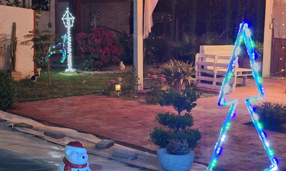 Rancho la providencia El tanque de los jimenez, 4 Bedrooms Bedrooms, 3 Rooms Rooms,2 BathroomsBathrooms,Quinta,Venta,Rancho la providencia,0,1163