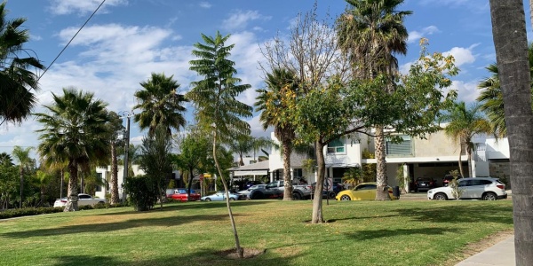 Paseo de Parque S/N, Cantera de San Agustín, 0 , 0 ,0,Terreno,Venta,Paseo de Parque S/N,0,1174