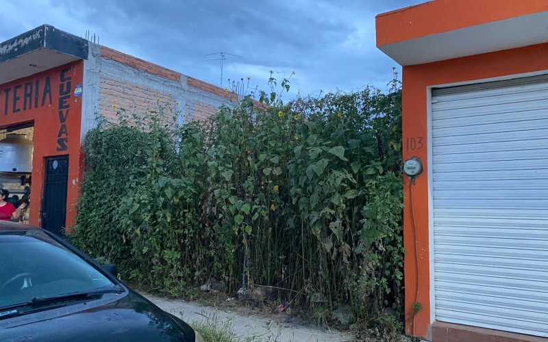 Gladiola, M1 - LOTE 11, Vergel de Valle, 0 , 0 ,0,Terreno,Venta,Gladiola, M1 - LOTE 11,0,1177