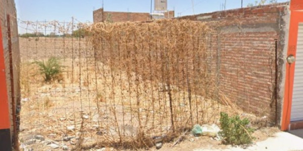 Gladiola, M1 - LOTE 11, Vergel de Valle, 0 , 0 ,0,Terreno,Venta,Gladiola, M1 - LOTE 11,0,1177 Gladiola, M1 - LOTE 11, Vergel de Valle, 0 , 0 ,0,Terreno,Venta,Gladiola, M1 - LOTE 11,0,1177