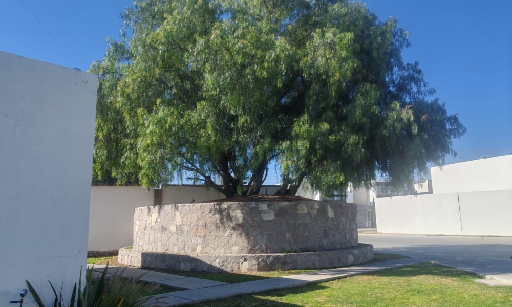 247 Reserva Del Sabino Reserva Bosque Sereno, Aguascalientes 20326, 3 Bedrooms Bedrooms, 2 Rooms Rooms,1 BathroomBathrooms,Casa,Renta,Reserva Del Sabino,0,1202