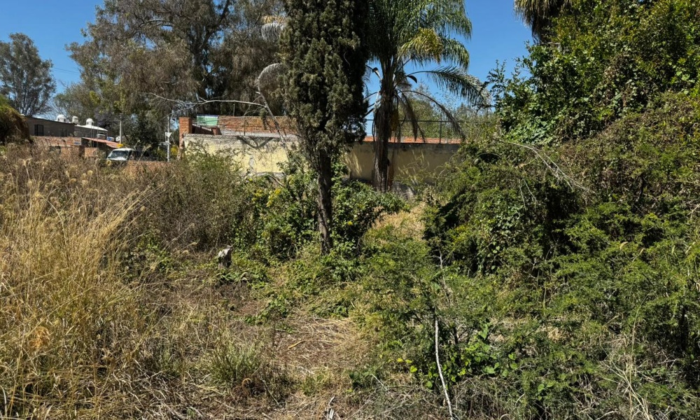 Leyes de Reforma 504 Montoro, Aguascalientes 20345, 0 , 0 ,0,Terreno,Venta,Leyes de Reforma 504,0,1213