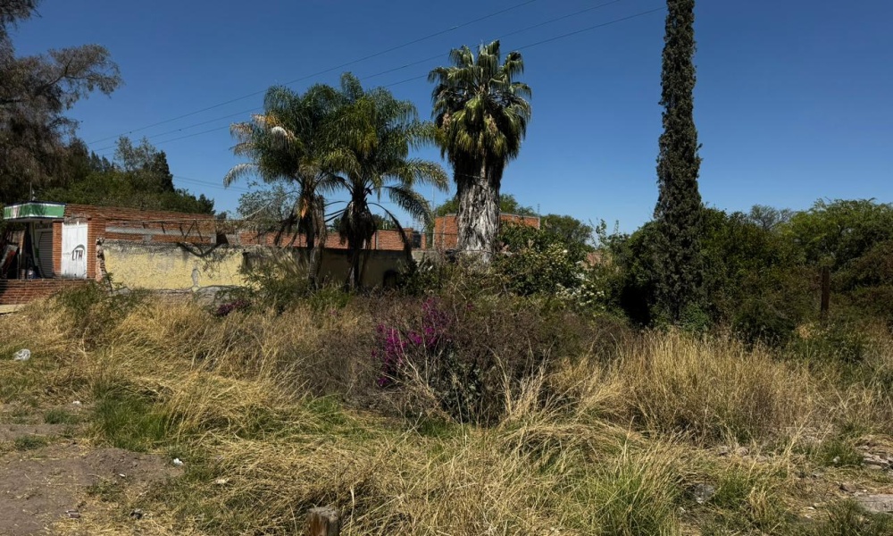 Leyes de Reforma 504 Montoro, Aguascalientes 20345, 0 , 0 ,0,Terreno,Venta,Leyes de Reforma 504,0,1213