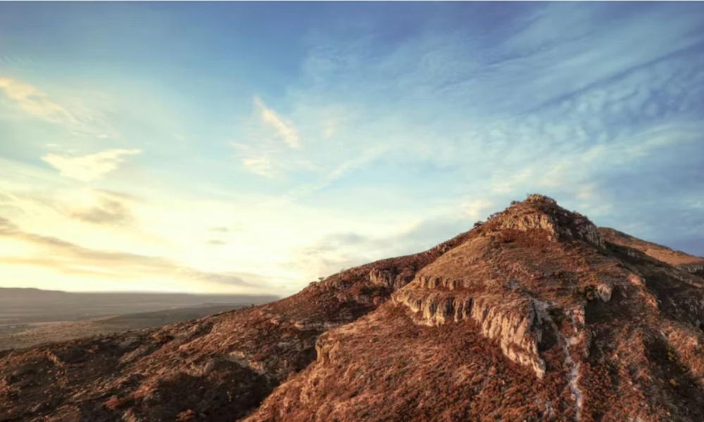 La Tomatina, Aguascalientes 20994, 0 , 0 ,0,Terreno,Venta,0,1217