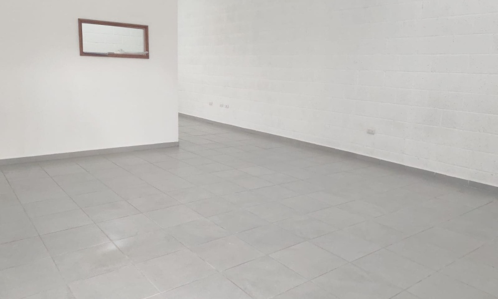 Camino a la Rinconada Fraccionamiento Ruiseñores, La Mision, Aguascalientes 20906, 0 , 0 ,1 BathroomBathrooms,Local Comercial,Renta,Camino a la Rinconada,0,1219