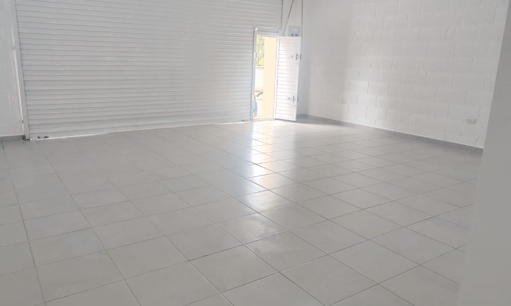 Camino a la Rinconada Fraccionamiento Ruiseñores, La Mision, Aguascalientes 20906, 0 , 0 ,1 BathroomBathrooms,Local Comercial,Renta,Camino a la Rinconada,0,1219