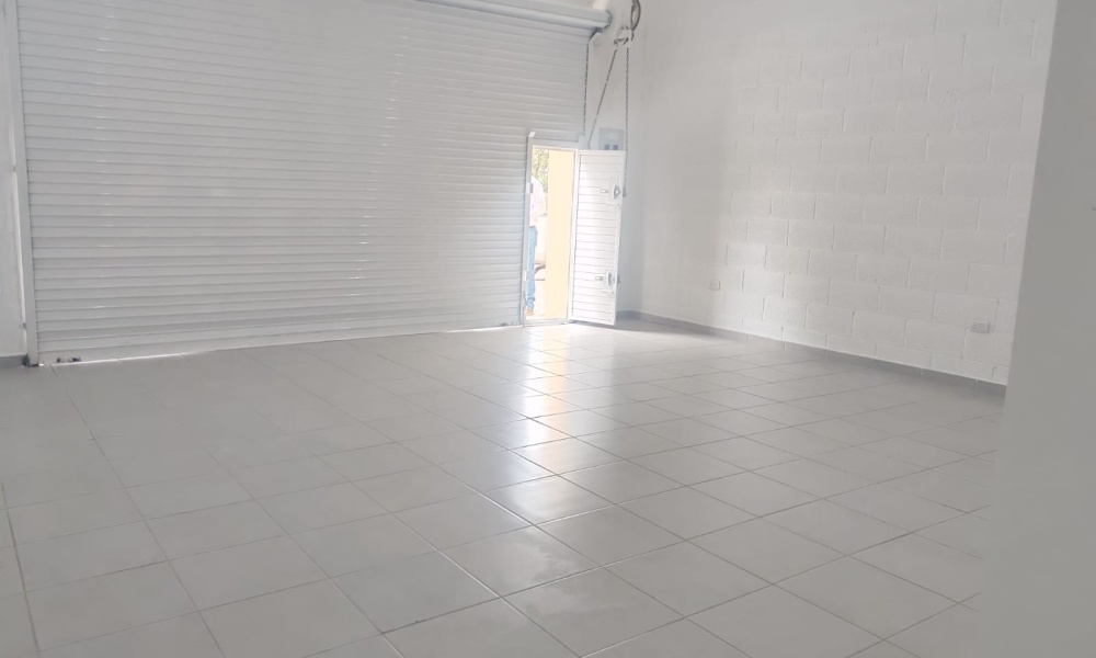 Camino a la Rinconada Fraccionamiento Ruiseñores, La Mision, Aguascalientes 20906, 0 , 0 ,1 BathroomBathrooms,Local Comercial,Renta,Camino a la Rinconada,0,1219