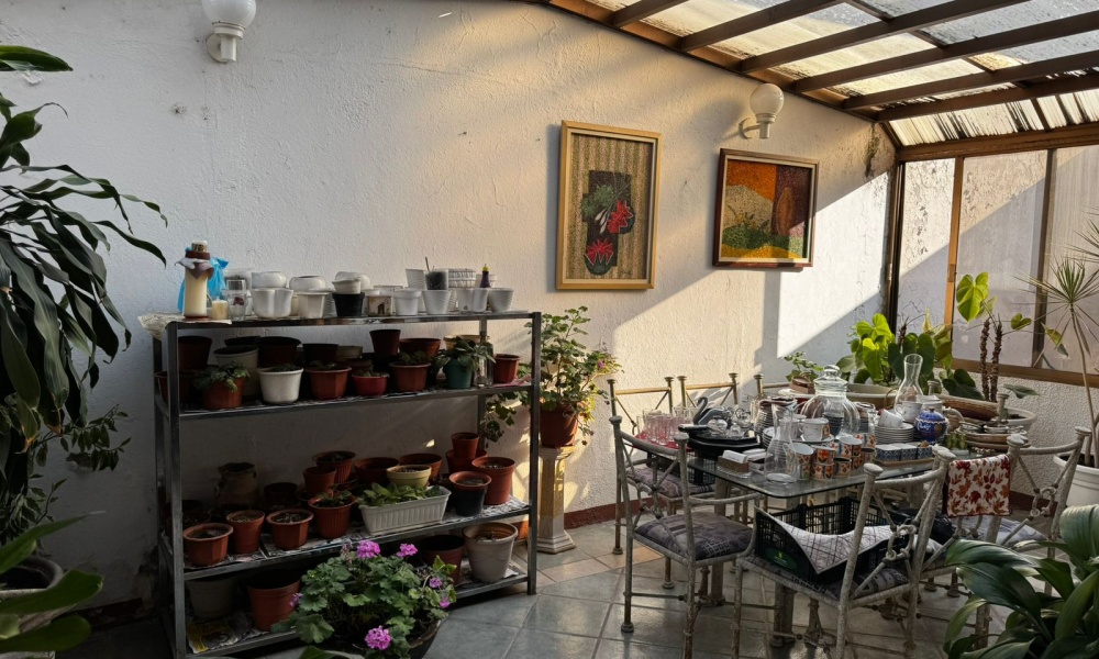 501 Jardín de San Marcos 501, Aguascalientes 20278, 5 Bedrooms Bedrooms, 3 Rooms Rooms,6 BathroomsBathrooms,Casa,Venta,Jardín de San Marcos 501,0,1241