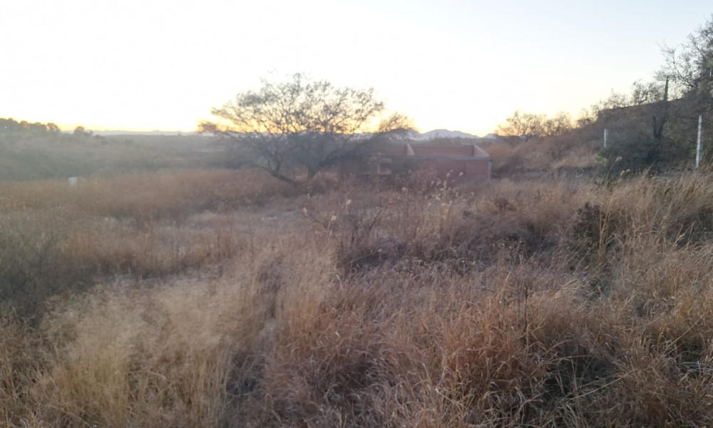Salto de los Salado Salto de los Salado, Aguascalientes 20341, 0 , 0 ,0,Terreno,Venta,Salto de los Salado,0,1246