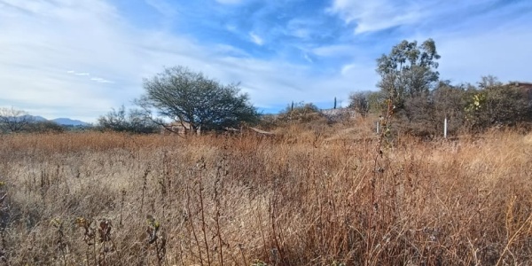 Salto de los Salado Salto de los Salado, Aguascalientes 20341, 0 , 0 ,0,Terreno,Venta,Salto de los Salado,0,1246