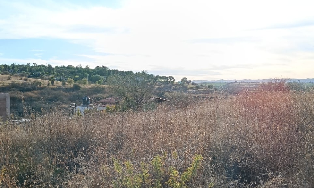Salto de los Salado Salto de los Salado, Aguascalientes 20341, 0 , 0 ,0,Terreno,Venta,Salto de los Salado,0,1246