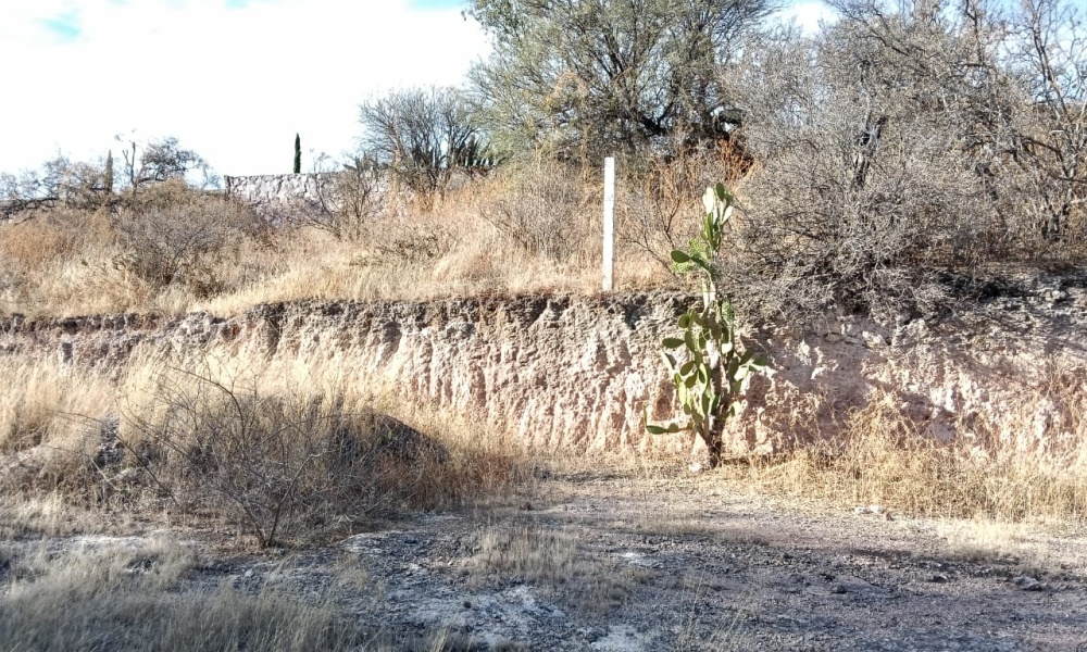 Salto de los Salado Salto de los Salado, Aguascalientes 20341, 0 , 0 ,0,Terreno,Venta,Salto de los Salado,0,1246