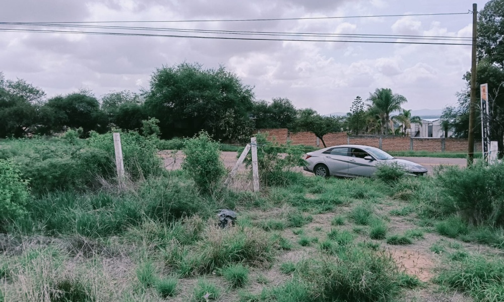 Camino a Palapa las Vegas, Aguascalientes 20375, 0 , 0 ,0,Terreno,Venta,Camino a Palapa las Vegas,0,1255