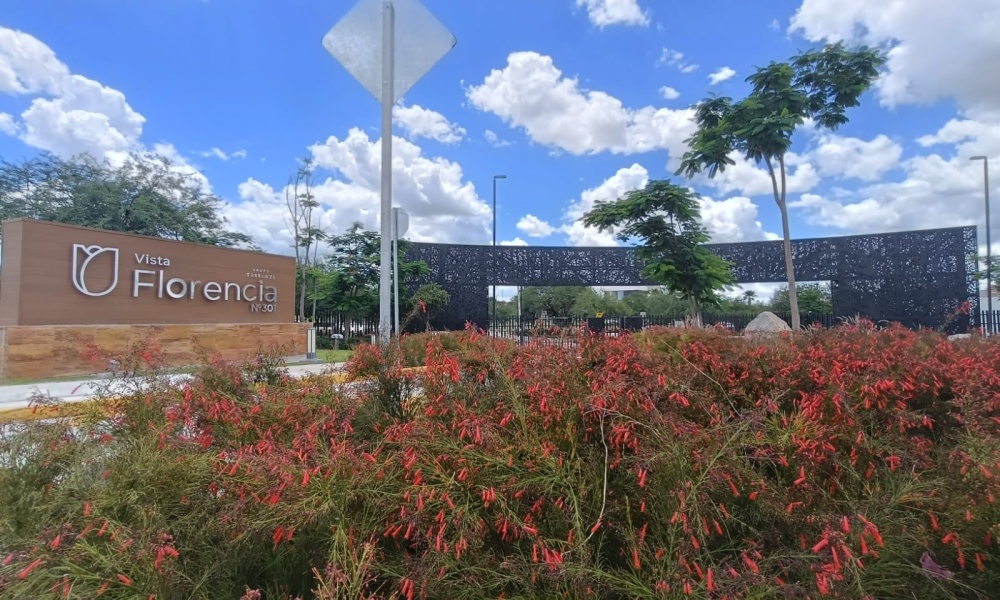 Vista Florencia 301, Vista Florencia, Aguascalientes 20997, 0 , 0 ,0,Terreno,Venta,Vista Florencia 301,0,1269