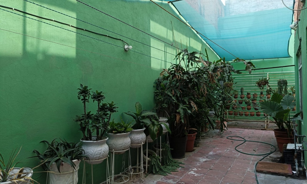 Calle República de Guatemala, Jardines de Santa Elena, Aguascalientes 20238, 8 Bedroom Bedrooms, 2 Room Rooms,4 BathroomBathrooms,Casa,Venta,Calle República de Guatemala,0,1276