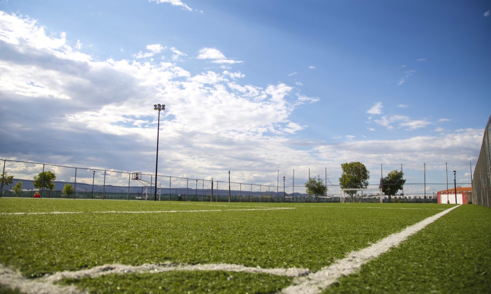 Avenida viña antigua Viña Antigua, 0 , 0 ,0,Terreno,Venta,Avenida viña antigua,0,1027