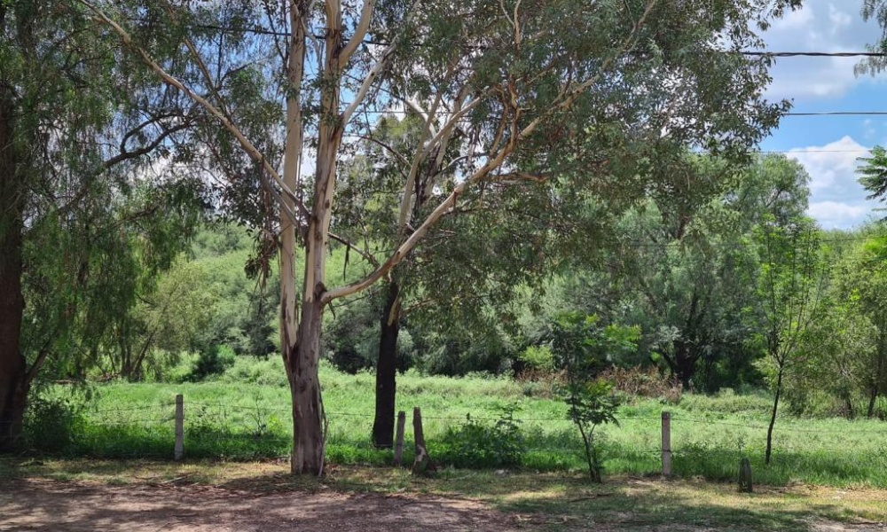 402 Hernan Cortez Campestre la herradura, 5 Habitaciones Habitaciones, 7 Habitaciones Habitaciones,6 BathroomsBathrooms,Casa,Venta,Hernan Cortez,0,1034