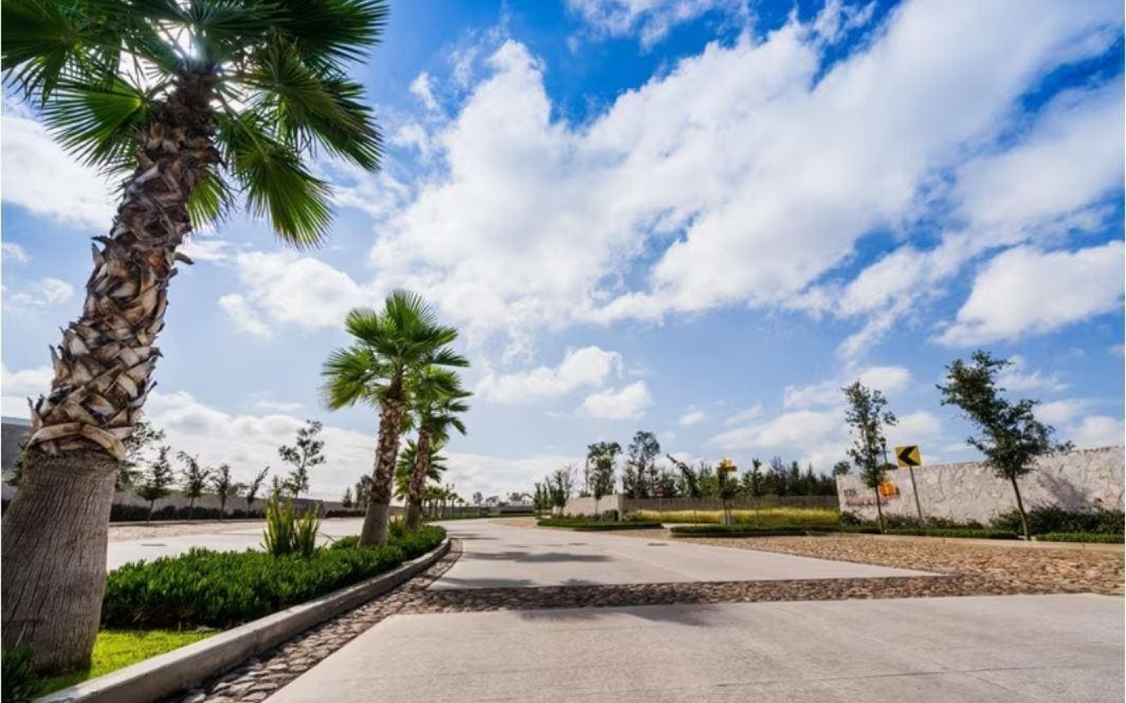 AV. SAN ANTONIO Fraccionamiento Rancho Santa Monica, 0 , 0 ,0,Terreno,Venta,AV. SAN ANTONIO,0,1048