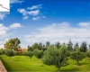 AV. SAN ANTONIO Fraccionamiento Rancho Santa Monica, 0 , 0 ,0,Terreno,Venta,AV. SAN ANTONIO,0,1048