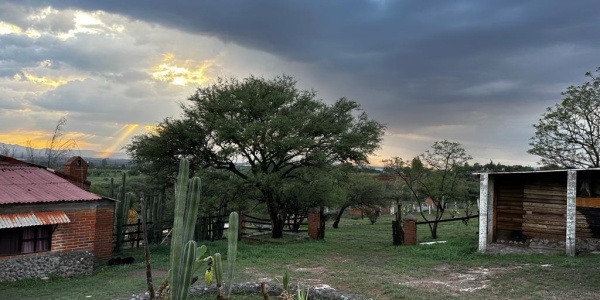 138 EJIDO ARELLANO, ,Terreno,Venta,138,1049
