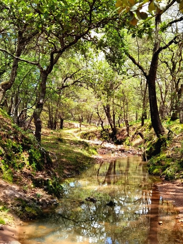 AGUASCALIENTES, ,TERRENO,EN VENTA,1626