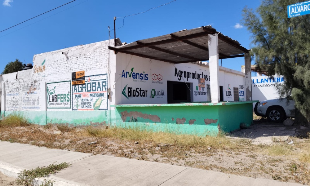 CIUDAD INSURGENTES, 0 , 0 ,1 BathroomBathrooms,Bodega Comercial,Venta,0,1062