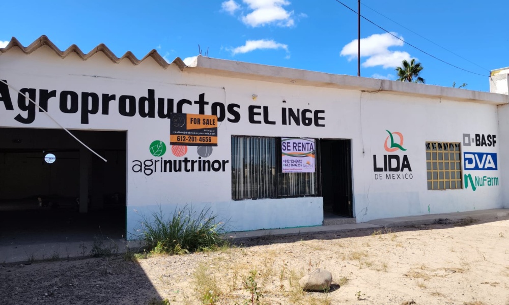 CIUDAD INSURGENTES, 0 , 0 ,1 BathroomBathrooms,Bodega Comercial,Venta,0,1062