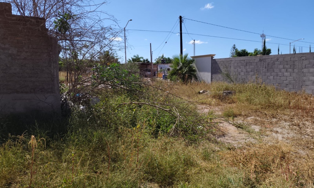 CIUDAD INSURGENTES, 0 , 0 ,1 BathroomBathrooms,Bodega Comercial,Venta,0,1062