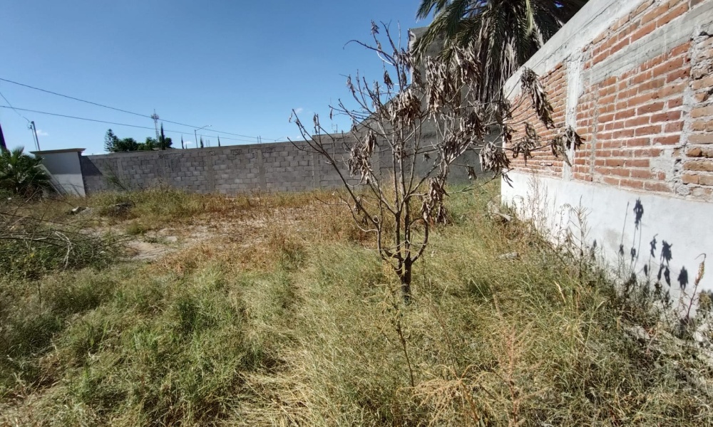 CIUDAD INSURGENTES, 0 , 0 ,1 BathroomBathrooms,Bodega Comercial,Venta,0,1062