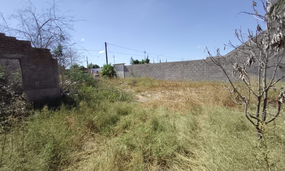 CIUDAD INSURGENTES, 0 , 0 ,1 BathroomBathrooms,Bodega Comercial,Venta,0,1062