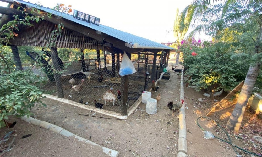 CARRETERA LOS PLANES LA PAZ, 0 , 10 Habitaciones Habitaciones,5 BathroomsBathrooms,Rancho,Venta,CARRETERA LOS PLANES,0,1065