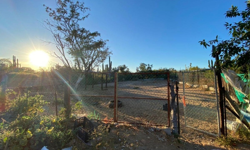 CARRETERA LOS PLANES LA PAZ, 0 , 10 Habitaciones Habitaciones,5 BathroomsBathrooms,Rancho,Venta,CARRETERA LOS PLANES,0,1065