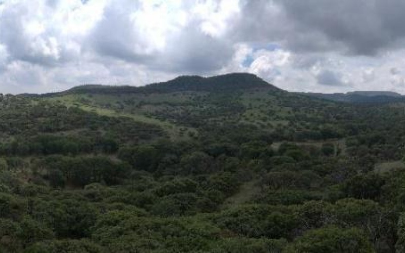 RANCHERIA POTRERO DE LOS LOPEZ POTRERO LOS TIMONES, 0 , 0 ,0,Terreno,Venta,RANCHERIA POTRERO DE LOS LOPEZ,0,1068