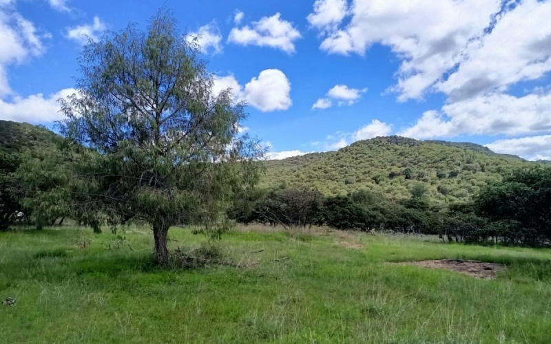 RANCHERIA POTRERO DE LOS LOPEZ POTRERO LOS TIMONES, 0 , 0 ,0,Terreno,Venta,RANCHERIA POTRERO DE LOS LOPEZ,0,1068