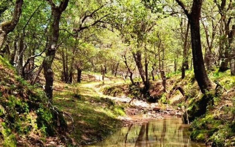 RANCHERIA POTRERO DE LOS LOPEZ POTRERO LOS TIMONES, 0 , 0 ,0,Terreno,Venta,RANCHERIA POTRERO DE LOS LOPEZ,0,1068