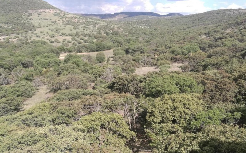 RANCHERIA POTRERO DE LOS LOPEZ POTRERO LOS TIMONES, 0 , 0 ,0,Terreno,Venta,RANCHERIA POTRERO DE LOS LOPEZ,0,1068