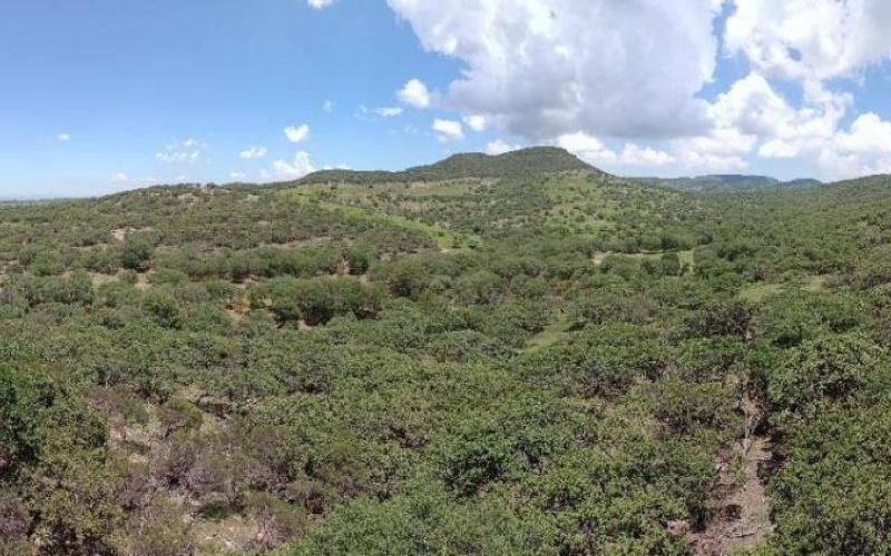 RANCHERIA POTRERO DE LOS LOPEZ POTRERO LOS TIMONES, 0 , 0 ,0,Terreno,Venta,RANCHERIA POTRERO DE LOS LOPEZ,0,1068