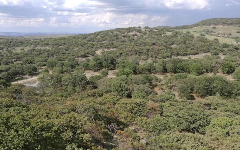 RANCHERIA POTRERO DE LOS LOPEZ POTRERO LOS TIMONES, 0 , 0 ,0,Terreno,Venta,RANCHERIA POTRERO DE LOS LOPEZ,0,1068