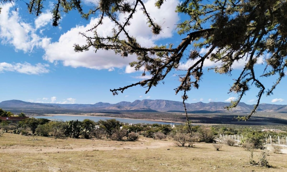 ELJIDO LA TOMATINA, 0 , 0 ,0,Terreno,Venta,0,1076